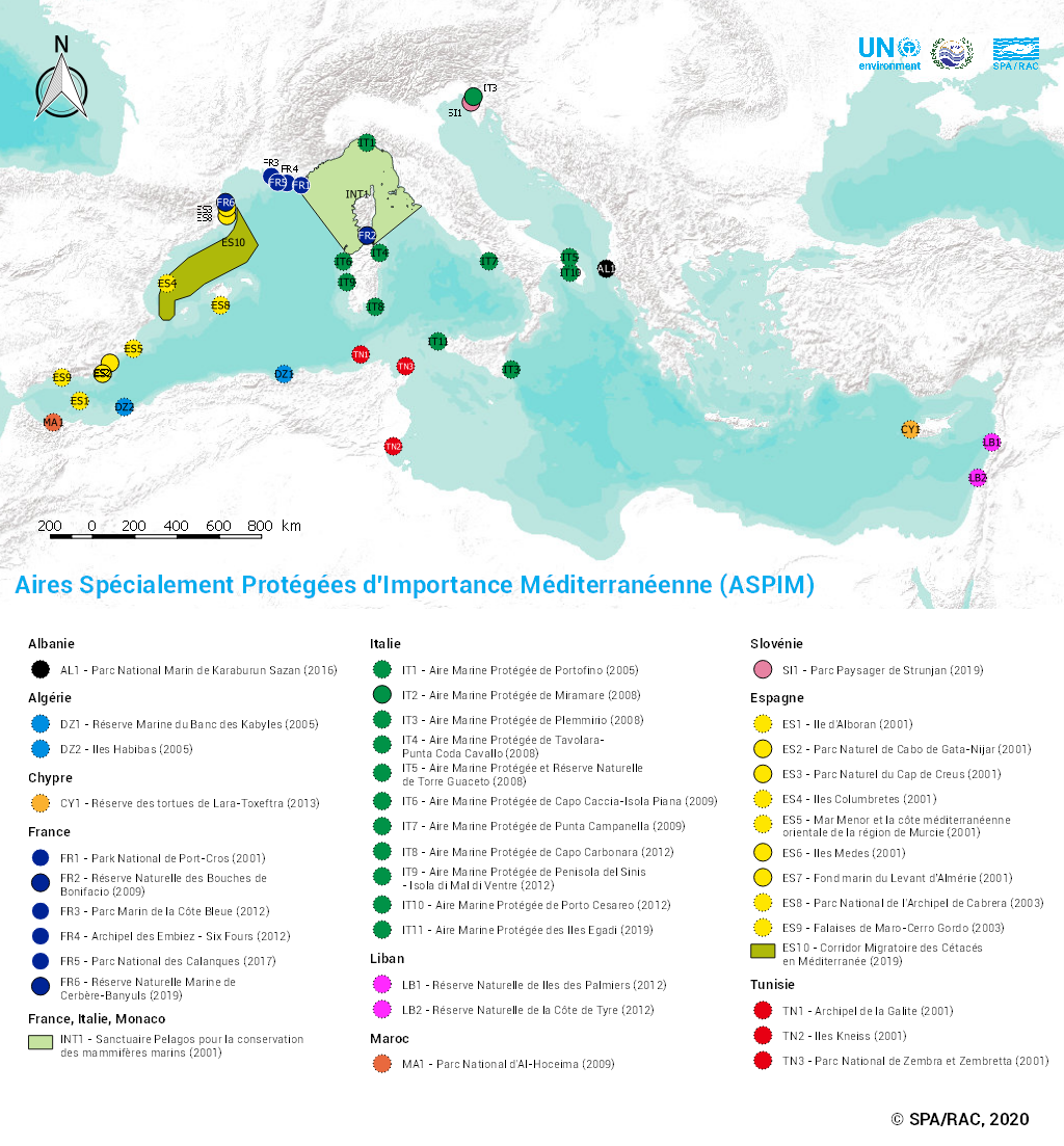 SPAMIs in the Mediterranean