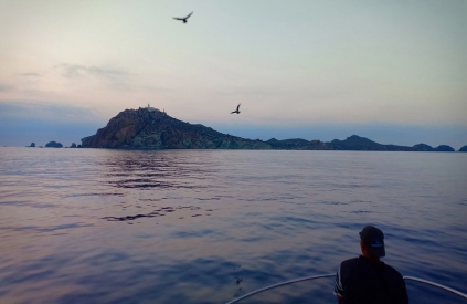 Paloma Island in Algeria