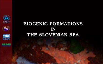 biogenic_formations_v2-1.jpg