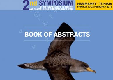 Book of abstracts of the second brids symposium