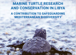book_marine_turtles_libya.png