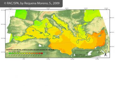 Temperature de la surface marine de la région Méditerranéenne