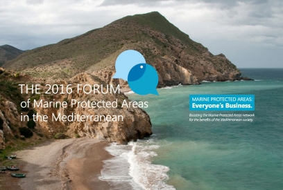 2016 MPA forum  flyer