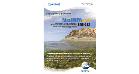 Guidelines to improve the implementation of the Mediterranean Specially Protected