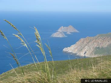 La Galite Archipelago (Tunisia)