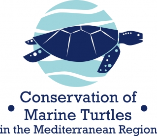 Marine Turtles Project Logo