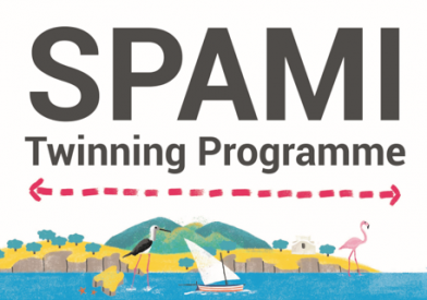 logo_spami_projet.png