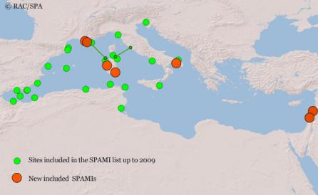 SPAMIs in the Mediterranean