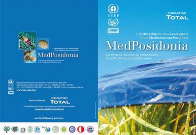 MedPosidonia's brochures