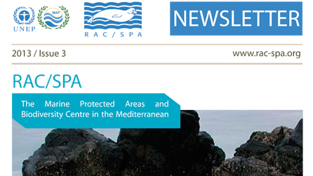 RAC/SPA newsletter - ed 3/2013