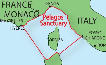 Pelagos sanctuary