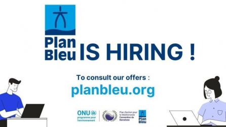 plan_bleu_consutancy.png