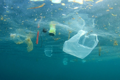 Marine litter