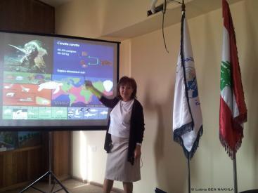 Training on setup of a care facility for marine turtles in Lebanon