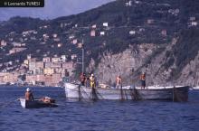 Piège de pêche à Portofino