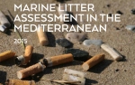 Marine Litter Assessment in the Mediterranean